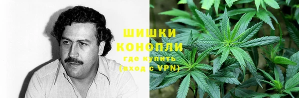 бошки Алексин